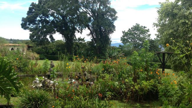 Hotel Desire Costa Rica Santa Barbara de Heredia Zewnętrze zdjęcie